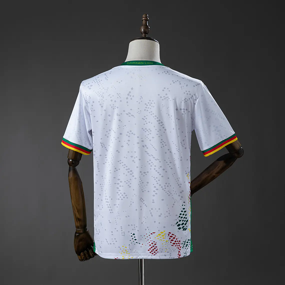 Camisola Camarões Alternativa 2026 2