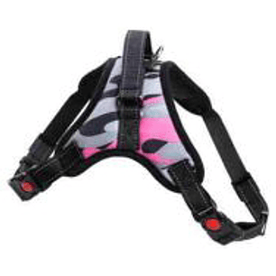 Arnes Para Perro