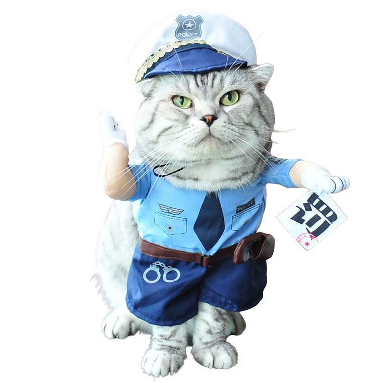 Ropa Elegante Para Mascotas 1