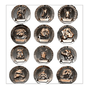 Placa Para Mascotas * 1 Pcs