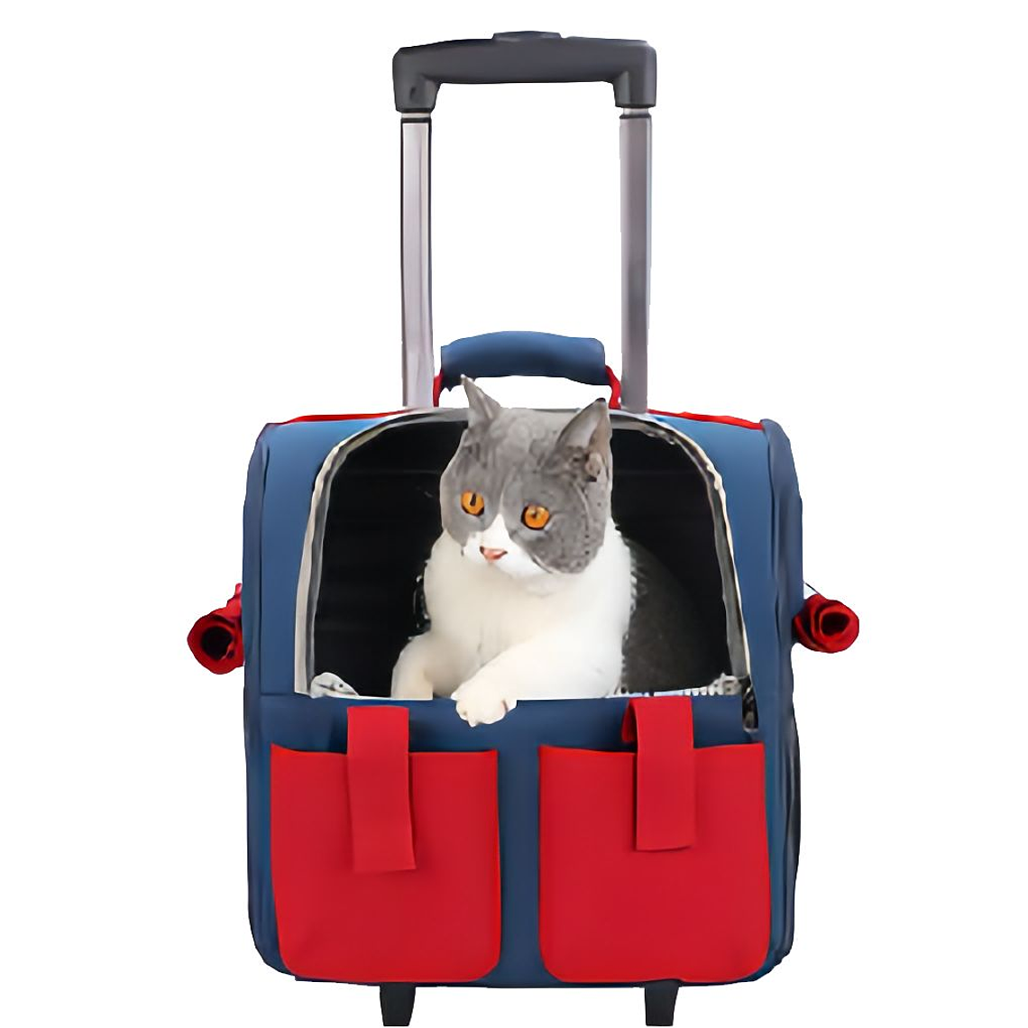 Mochila De Viaje Para Mascotas 1