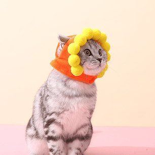 Sombreros Para Mascotas