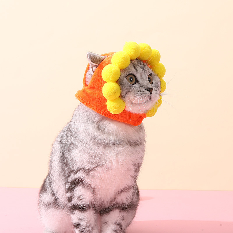 Sombreros Para Mascotas 1