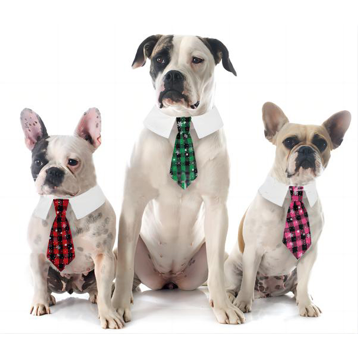 Corbata De Mascota 1