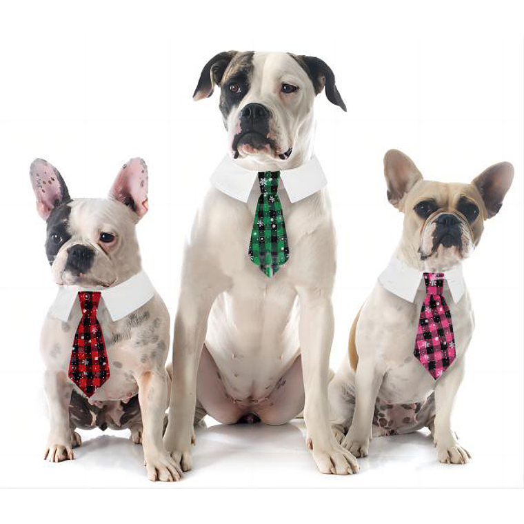 Corbata De Mascota 1