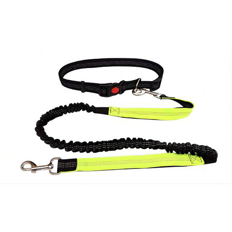 Correa Para Correr 1