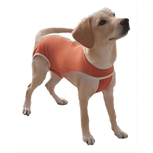 Ropa Quirurgica Para Mascotas S-Xxl
