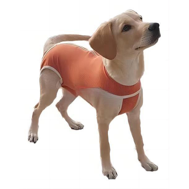 Ropa Quirurgica Para Mascotas S-Xxl 1