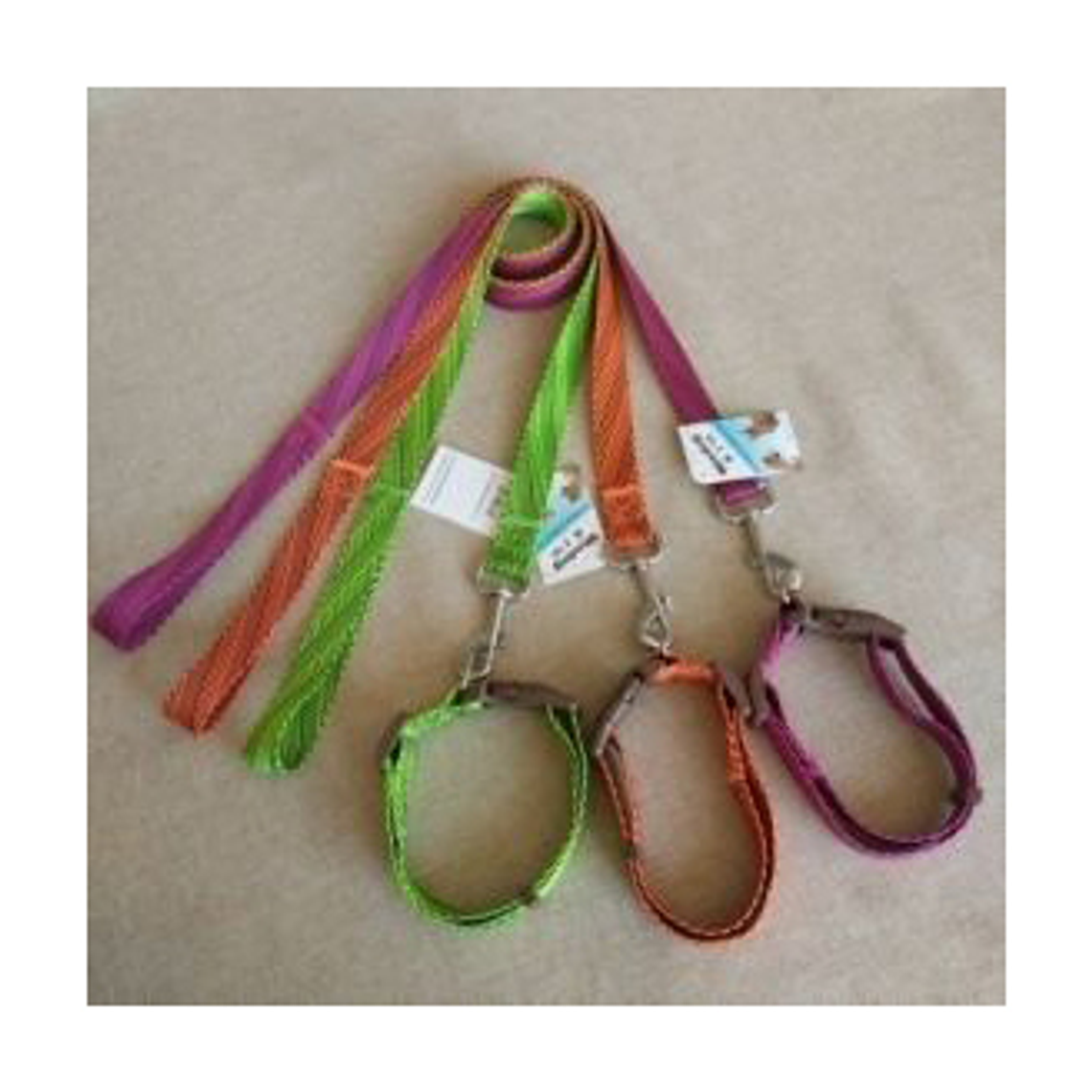 Conjunto De Correa Para Mascotas 1