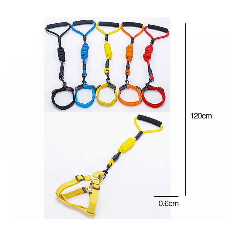 Conjunto De Correa Para Mascotas 1