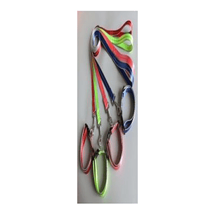 Conjunto De Correa Para Mascotas