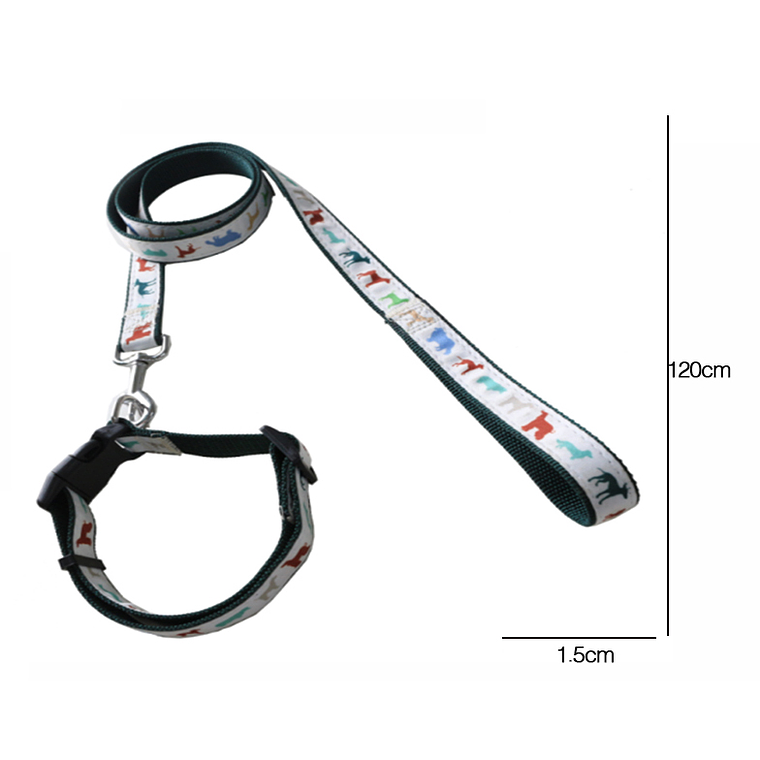 Conjunto De Correa Para Mascotas 1