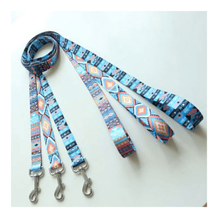 Conjunto De Correa Para Mascotas