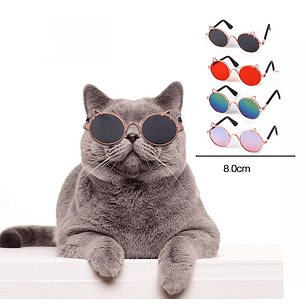 Gafas De Sol Para Mascotas