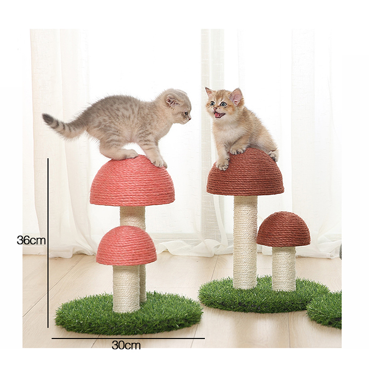 Rascador Para Gato 1