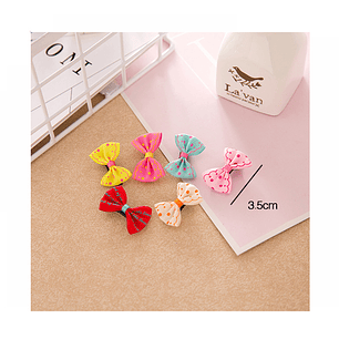 Pinches Para Mascotas