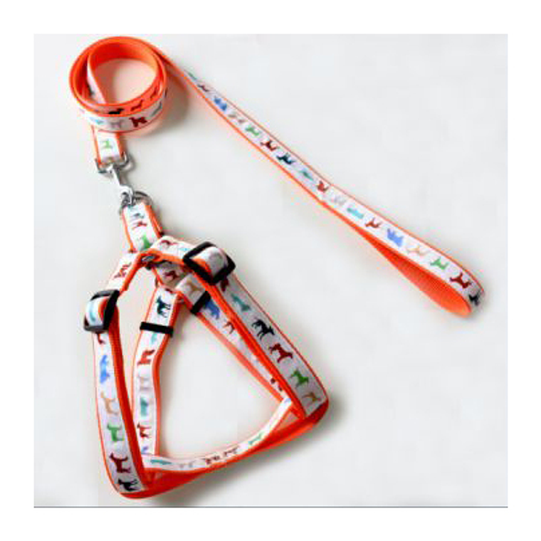 Conjunto De Arnes Para Mascotas 2.5*120Cm 1