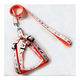 Conjunto De Arnes Para Mascotas 1.5*120Cm