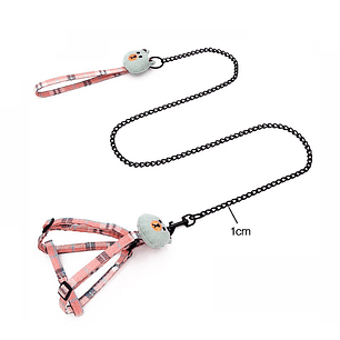 Conjunto De Arnes Para Mascotas 1.0Cm