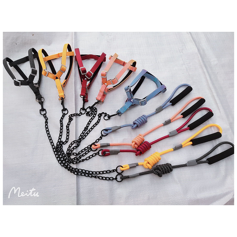 Conjunto De Arnes Para Mascotas 1.0Cm 1