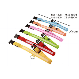 Collar Led