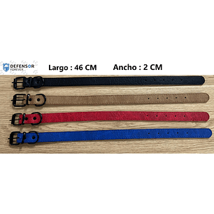 Collar Para Perro