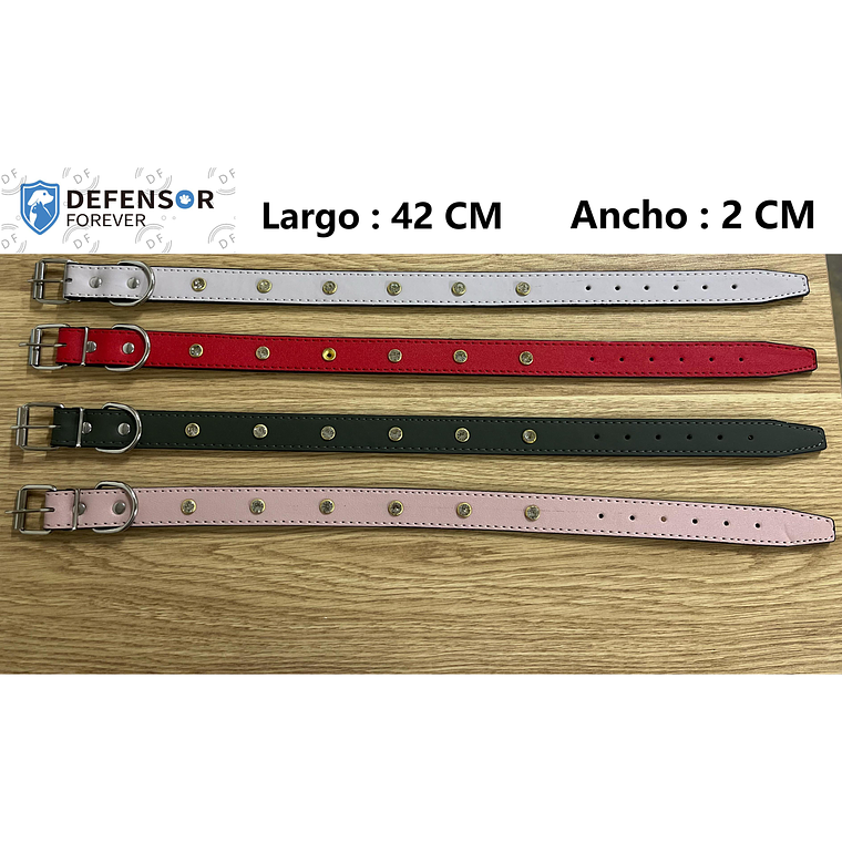 Collar Para Perro 1