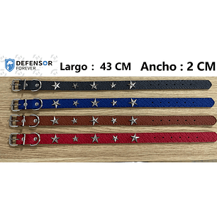 Collar Para Perro