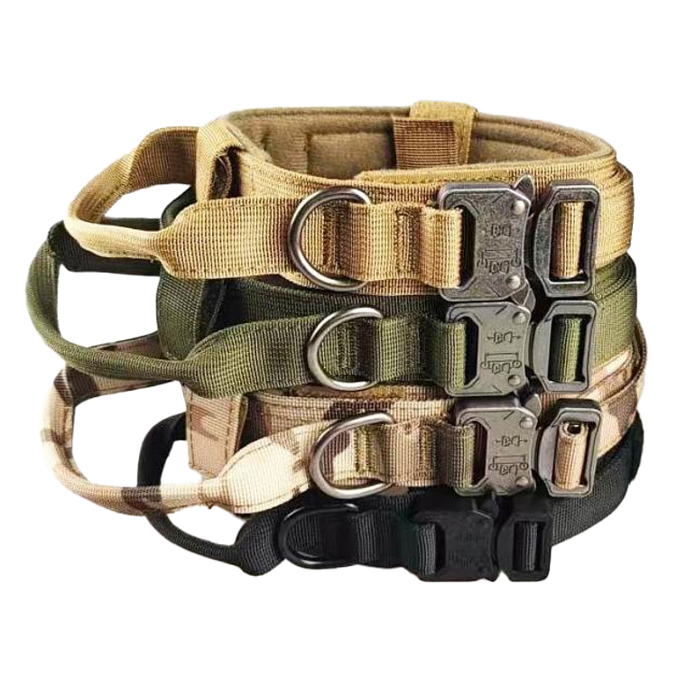 Collar Tactico 1