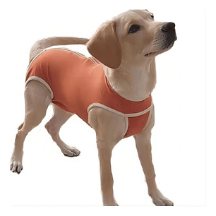 Ropa Quirurgica Para Mascotas 3Xl-6Xl