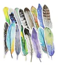 Set 30 Piezas Marcador De Página Libro Diseño Plumas De Aves - Miniatura 3