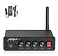Amplificador de Sonido Aiyima B01 2.1 Bt 50wx2 + 100w Hifi - Miniatura 1