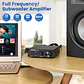 Amplificador Aiyima A3001 para Subwoofer 300W HIFI - Miniatura 7