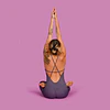 Enterito Yoga Marengo