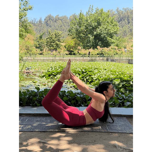 Nuevo Outfit Classic Lotus