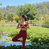 NUEVO Crop Top Lotus cherry