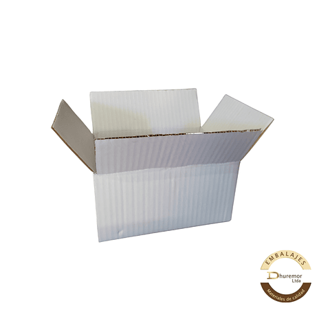   Caja por unidad Blanca 220X150X110 mm