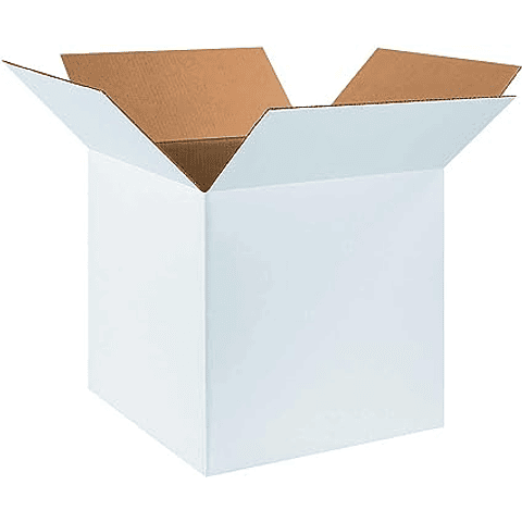 Caja Blanca 18x18x18 