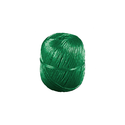 Pitilla Mediana por unidad