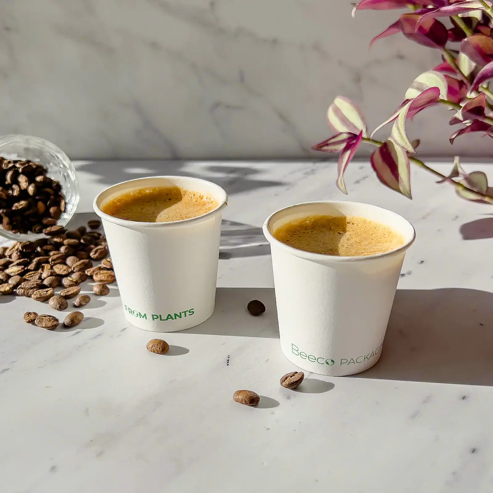 Vaso de Café Blanco 04 oz - Compostable + Logo (1 Color y 1 Cara) 3