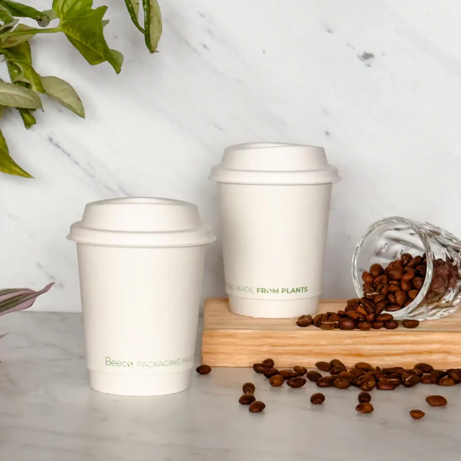 Vaso de Café Blanco Doble Pared 08 oz - Compostable + Logo (1 Color y 1 Cara) 3