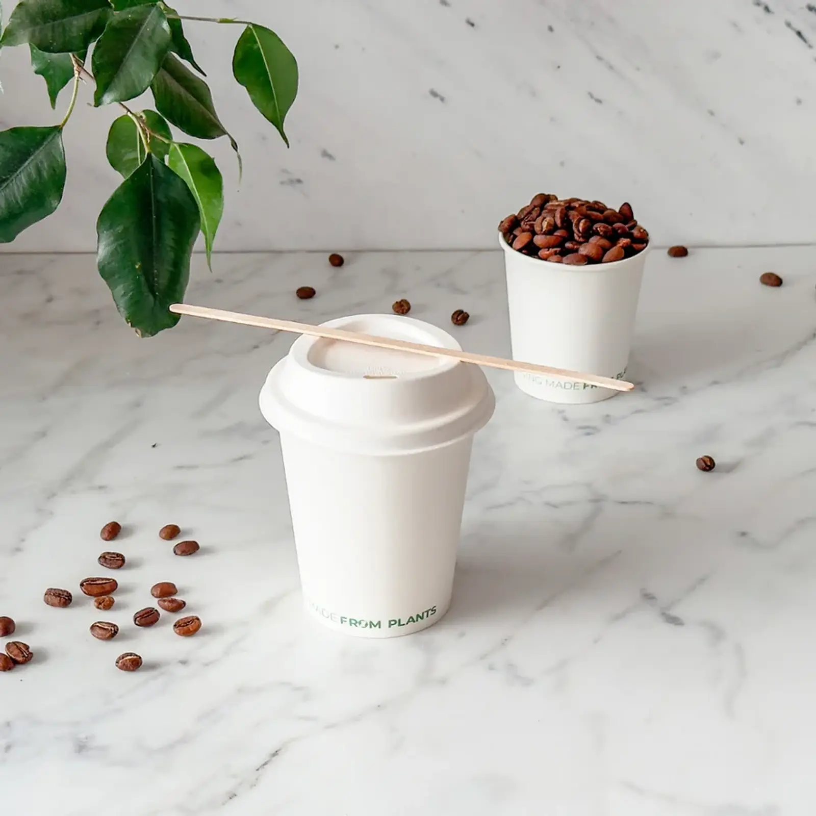 Tapa Blanca Vaso de Café 8 oz - Compostable (Bagazo) 2