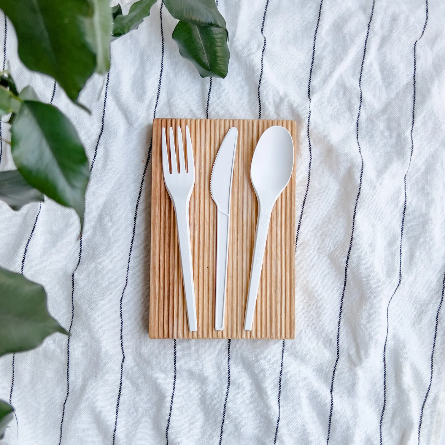 Cuchara Blanca Almidón de Maíz 16 cm - Compostable 4