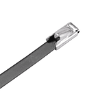 Amarra Acero Inoxidable con Poliéster Negro 200x4,6mm 100Un 5