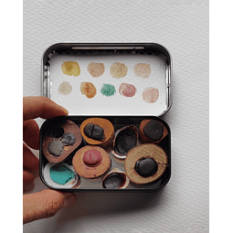 Edicion Especial Coleccion Botanica V. 6