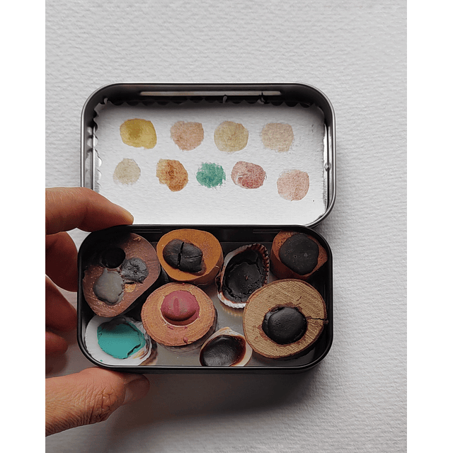 Edicion Especial Coleccion Botanica V. 6