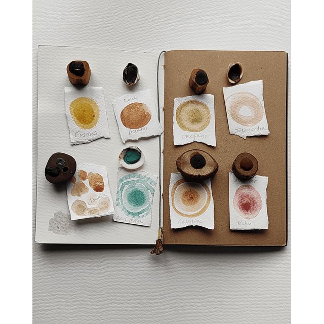 Edicion Especial Coleccion Botanica V. 6