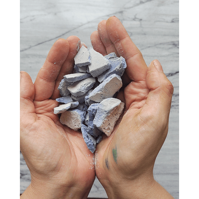 Edicion Especial Coleccion Botanica V. 6