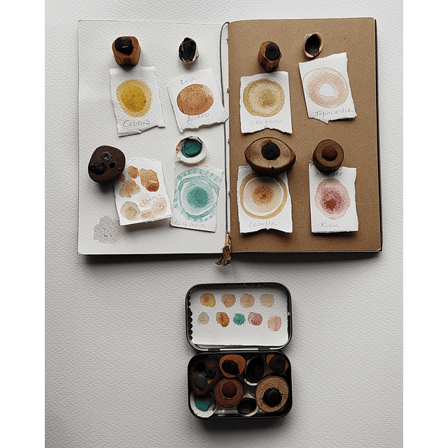 Edicion Especial Coleccion Botanica V. 6