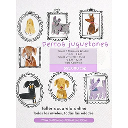 Taller online (en vivo)